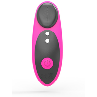 Ferri Panty Vibrator
