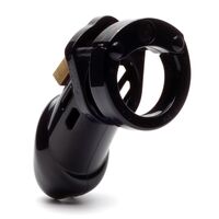 CB-6000 Chastity Cage
