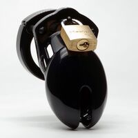 CB-6000S Chastity Cage