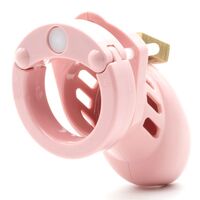 Cb 6000S Chastity Cage