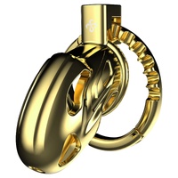 Metal Chastity Cage With Plug
