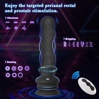 Remote Rotating Prostate Plug