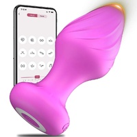 App-Controlled Vibrating Plug