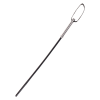 Insane Cane