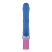 Vice Double Entry Vibrator