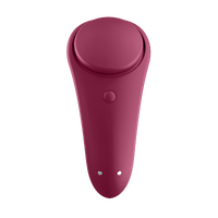 Sexy Secret Panty Vibrator