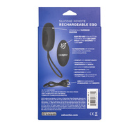 Remote Egg Vibrator