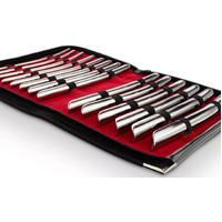 Ultimate Urethral Sounding Set