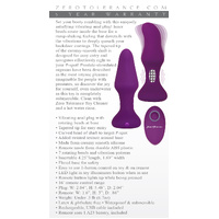 4" Tunnel Teaser Vibrating Butt Plug