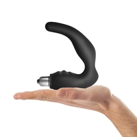 Naughty Boy Prostate Massager