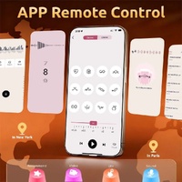 App-Controlled Vibrating Plug