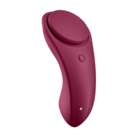 Sexy Secret Panty Vibrator