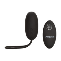 Remote Egg Vibrator