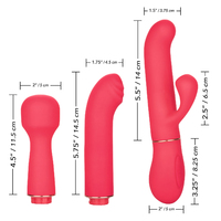 Passion Vibrator Kit