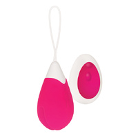Remote Control Egg Vibrator