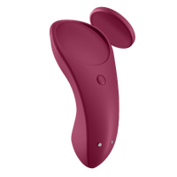 Sexy Secret Panty Vibrator