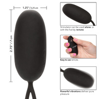 Remote Egg Vibrator