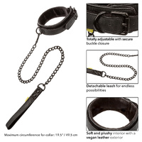 Premium Collar & Leash