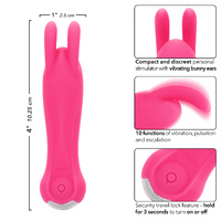 Kyst Bunny