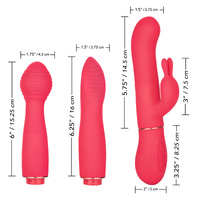 Dynamic Vibrator Kit