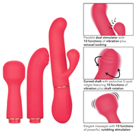 Passion Vibrator Kit