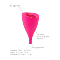 Lily Cup Size B