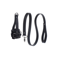 Ball Stretcher With Leash 