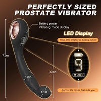 Curved Anal Plug Vibrator With Digital Display