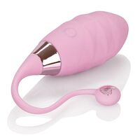 Amour Egg Vibrator + Remote