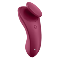 Sexy Secret Panty Vibrator
