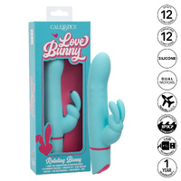 Love Bunny Rotating Bunny