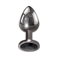 Metallic Anal Trainer Kit