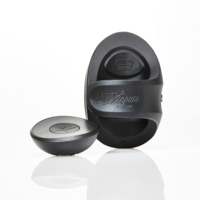 Pocket Pulse Vibrating Stroker + Remote