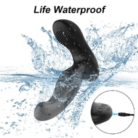 App-Controlled Prostate Massager