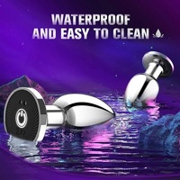 Metal Remote Vibrating Plug