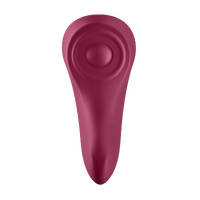 Sexy Secret Panty Vibrator