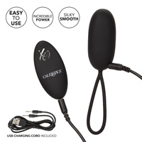 Remote Egg Vibrator