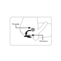 5.5" O-Boy Prostate Massager
