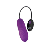 Pulsing Bullet Vibrator