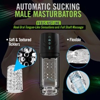 Whirlwind Pro Automatic Stroker