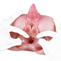 Dragon Pussy