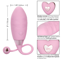 Amour Egg Vibrator + Remote