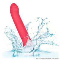 Passion Vibrator Kit