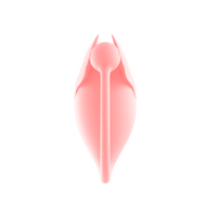 Amourette Egg Vibrator