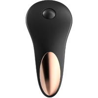 Little Secret Panty Vibrator