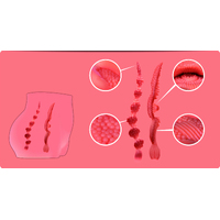 Cherry Mini Hip + Pussy