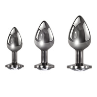 Premium Metal Anal Trainer Kit