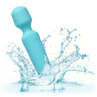 Eden Wand Massager