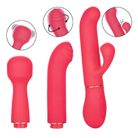 Passion Vibrator Kit