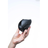 Pulse Solo Interactive Stroker